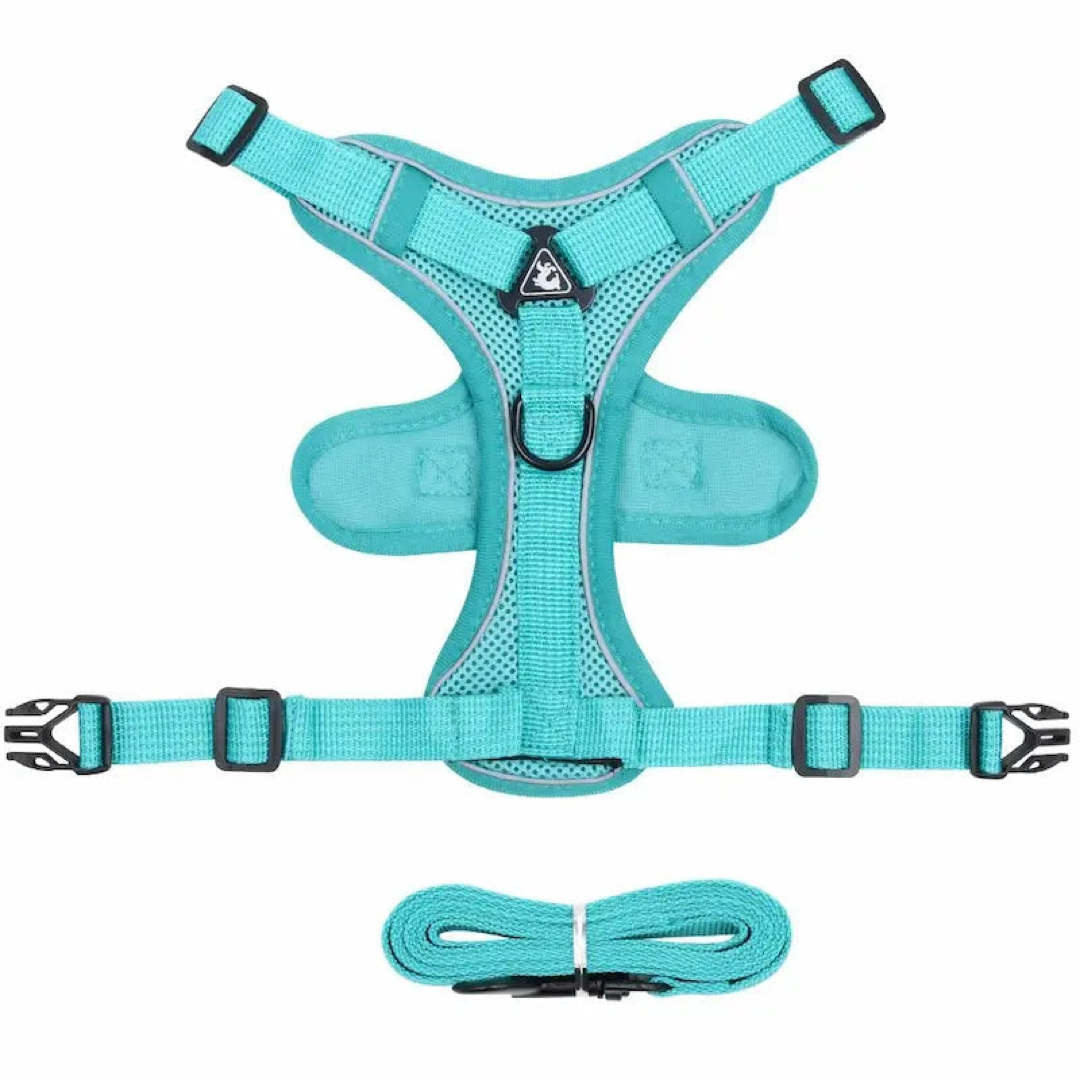 Escape-Proof Cat Harness for Safer Walks