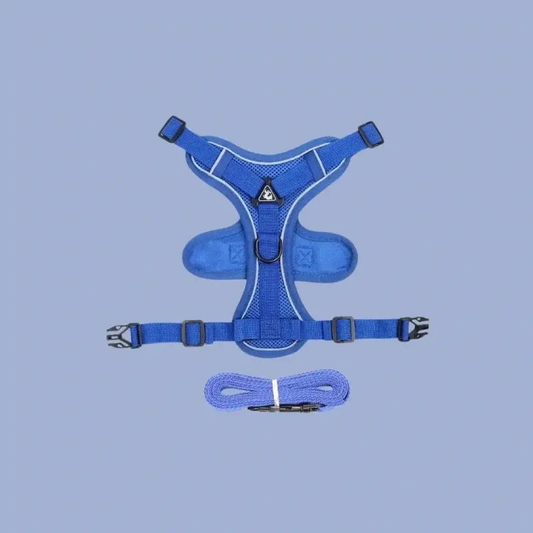 Escape-Proof Cat Harness for Safer Walks