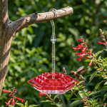 Hummingbird Garden Feeder With Ant Moat