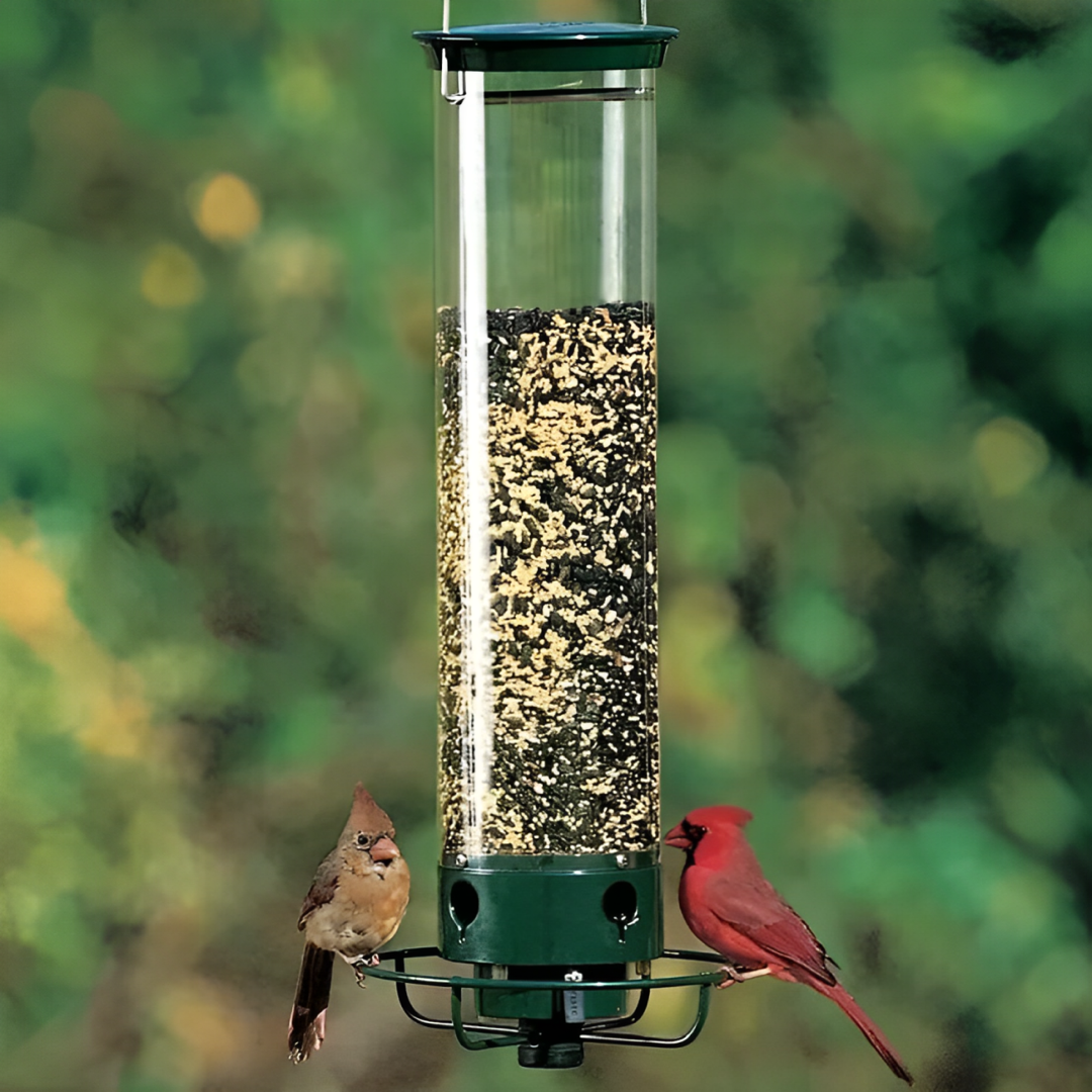 Squirrel-Proof Hummingbird Feeder for Easy Viewing