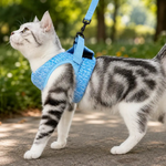 Escape-Resistant Cat Harness for Calmer Walks
