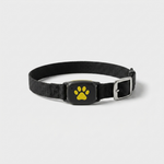 Cat GPS Collar for Worry-Free Exploring