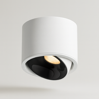 Directional LED Ceiling Light for Targeted Glow