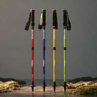 Compact Trekking Pole for Steady Footing