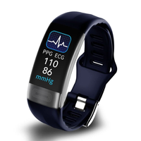 Wellness Tracking Armband for Daily Insights