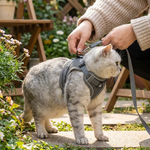 Escape-Proof Cat Harness for Safer Walks