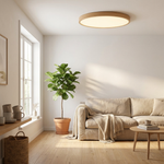 Japandi Flush Mount Light for Serene Illumination