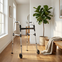 Lightweight Folding Walker for Everyday Stability