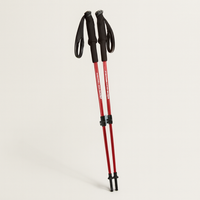 Foldable Trekking Poles for Steady Support