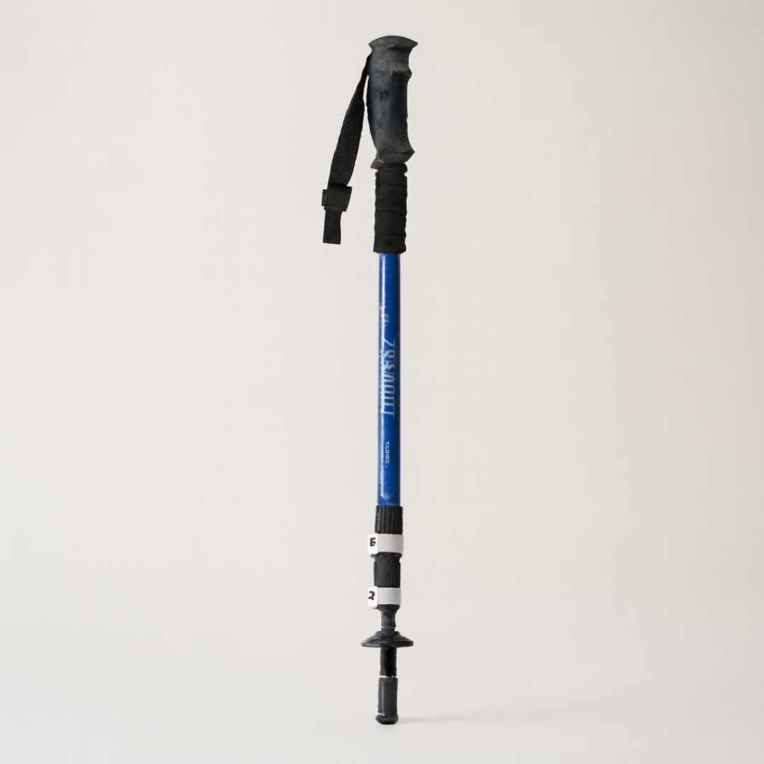 Adjustable Hiking Pole for Stable Strides