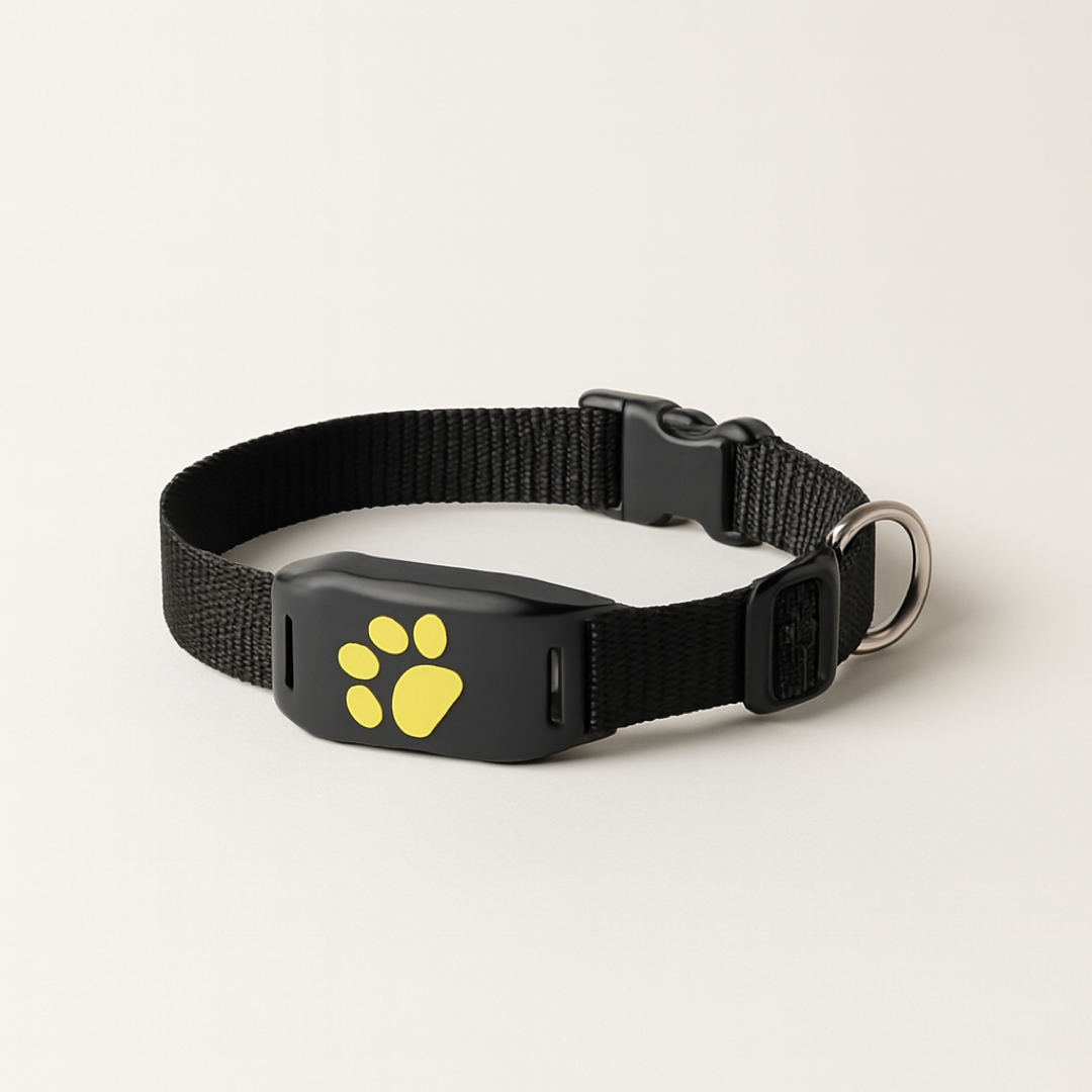 Cat GPS Collar for Worry-Free Exploring