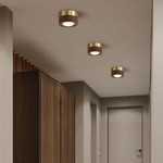 Walnut Accent Light for a Warm, Efficient Glow