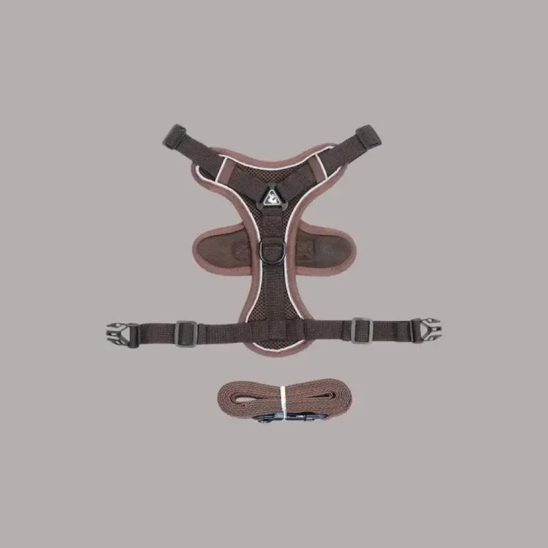 Escape-Proof Cat Harness for Safer Walks