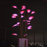 Illuminated Indoor Plant for Custom Ambiance