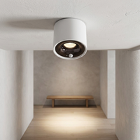 Motion-Sensing Ceiling Light for Effortless Illumination