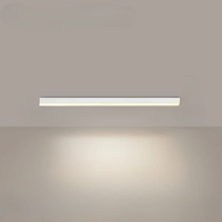 Linear LED Ceiling Light for Even Illumination