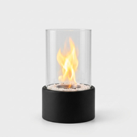 Portable Ethanol Fire Pit for Cozy Evenings