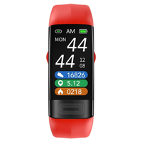 Wellness Tracking Armband for Daily Insights