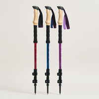Adjustable Trekking Pole Set for Steadier Trails