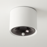 Motion-Sensing Ceiling Light for Effortless Illumination