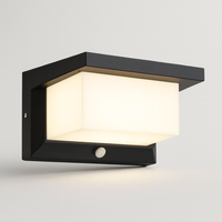 Motion-Sensing Outdoor Wall Light for Safer Entryways