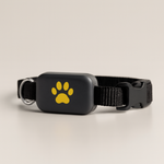 Lightweight Cat Tracker for Fee-Free Locationing