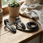 Secure-Fit Cat Harness Set for Safer Walks