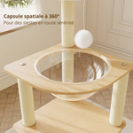 Space-Saving Cat Tree for Cozy Vertical Rest