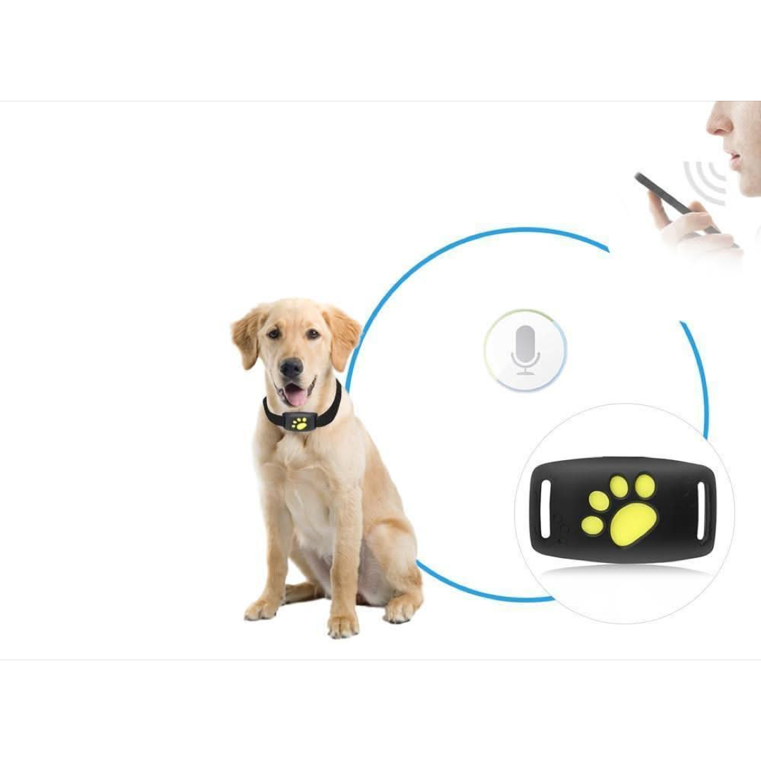 Lightweight Cat Tracker for Fee-Free Locationing