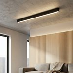 Scandinavian LED Ceiling Light for Clear Illumination