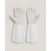Pruning Gloves for Thorn-Safe Gardening