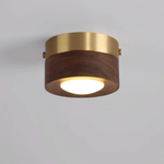 Walnut Accent Light for a Warm, Efficient Glow