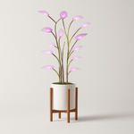 Illuminated Indoor Plant for Custom Ambiance
