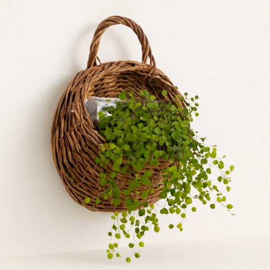 Rattan Basket Planter for Flexible Display