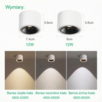 Directional LED Ceiling Light for Targeted Glow