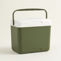 13L Travel Cooler for Fresh Food Anywhere