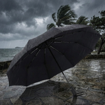 Windproof Travel Umbrella for Reliable Coverage