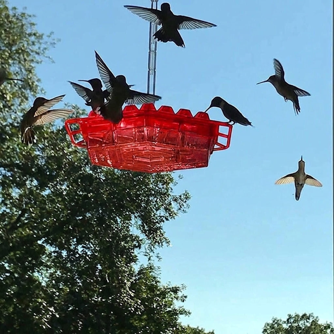 30-Port Hummingbird Feeder Keeps Ants Away