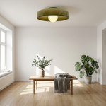 Nordic Glass Ceiling Light for Adjustable Ambiance