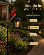 Cardinal Solar LED Light For Warm Garden Glow