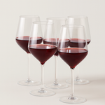 Tritan Wine Glass Set for Worry-Free Entertaining