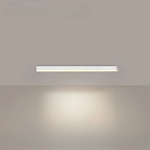 Linear LED Ceiling Light for Even Illumination