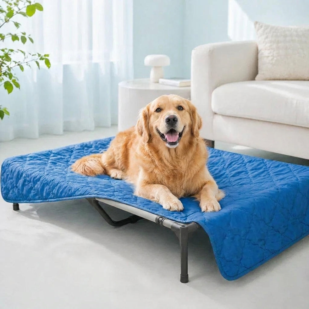 Cooling Pet Blanket for All-Day Comfort