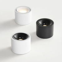 Directional LED Ceiling Light for Targeted Glow