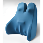 Ergonomic Back Support Cushion for All-Day Comfort