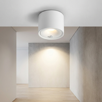 Motion-Sensing Ceiling Light for Effortless Illumination