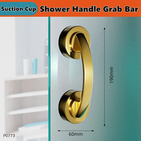 Suction Shower Grab Bar for Safer Bathing