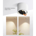 Directional LED Ceiling Light for Targeted Glow