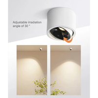 Directional LED Ceiling Light for Targeted Glow