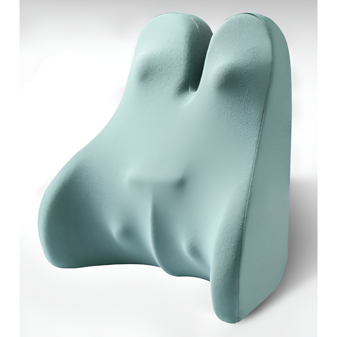 Ergonomic Back Support Cushion for All-Day Comfort